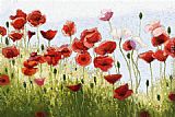 Poppies Canvas Paintings - Mountain Poppies III